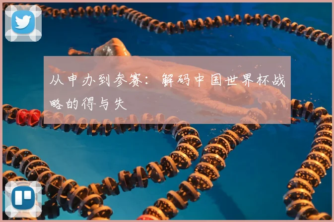 从申办到参赛：解码中国世界杯战略的得与失