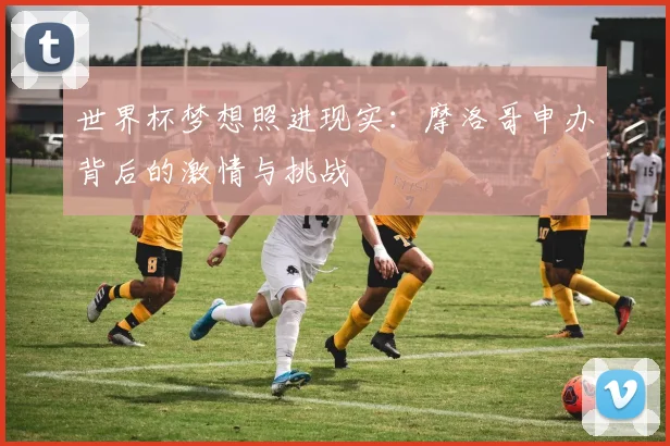 世界杯梦想照进现实：摩洛哥申办背后的激情与挑战