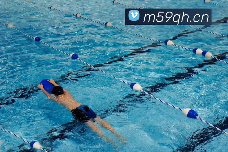 App Interface Preview