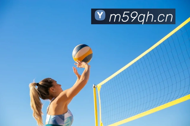 hth网页版登录入口APP 封面图